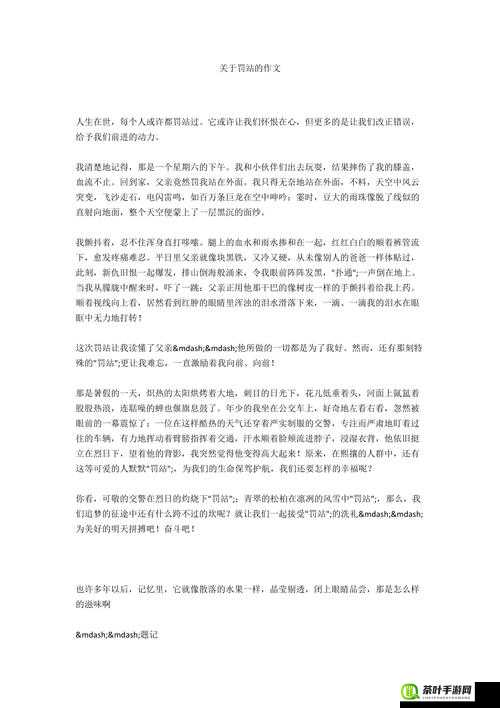 被主人罚一整天的小作文 300 字：罚站反思中的成长与教训