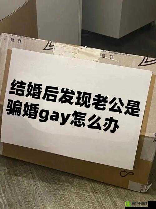 中国男男 gayfuckpolice：性取向与法律的交织