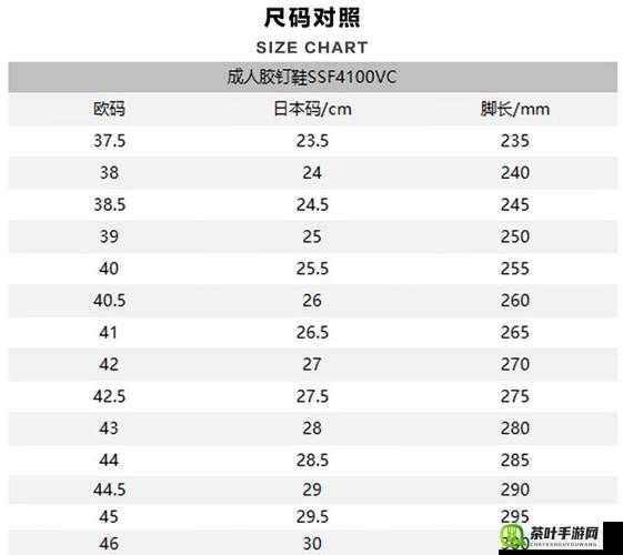 欧洲尺码日本尺码专线不卡顿：畅享专线流畅体验无需等待