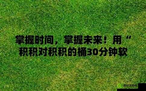 积积对积积的桶 30 分软件加入经典国产港台内容备受关注